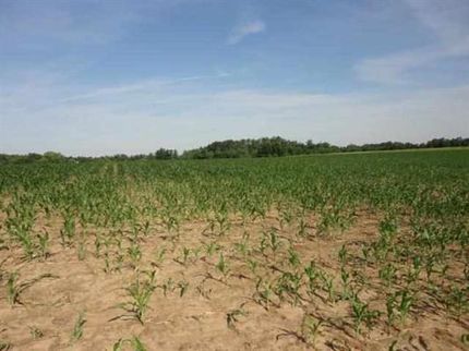 Commercial Property in Calloway County, Kentucky