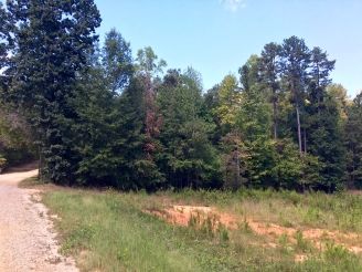 Farm Property in Hall County, Georgia