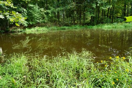 Farm Property in Decatur County, Tennessee