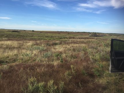 Undeveloped Land in Young County, Texas