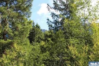 Ranch Property in Clallam County, Washington