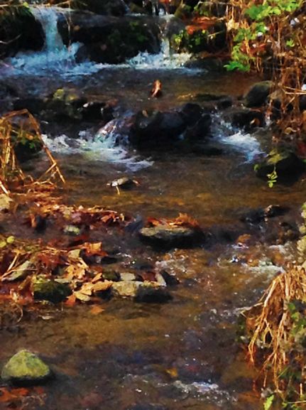 Property in Madison County, North Carolina