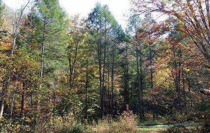 Residential Property in Clay County, West Virginia