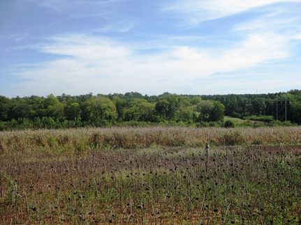 Property in Newberry County, South Carolina