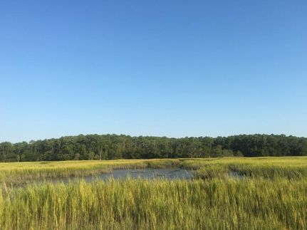 Lakefront Property in Beaufort County, South Carolina