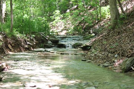 Farm Property in McDonald County, Missouri