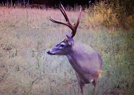 Farm Property in Hardeman County, Tennessee