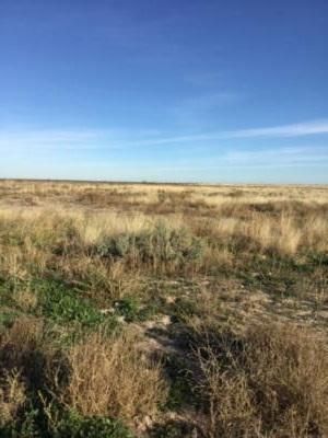 Recreational Property in Reeves County, Texas