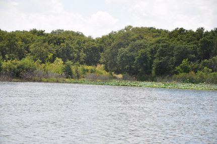 Residential Property in Eastland County, Texas