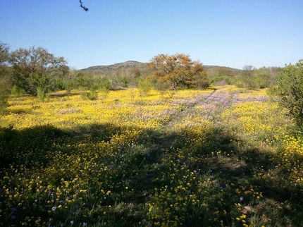 Timberland Property in Uvalde County, Texas