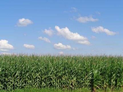 Farm Property in Marion County, Ohio