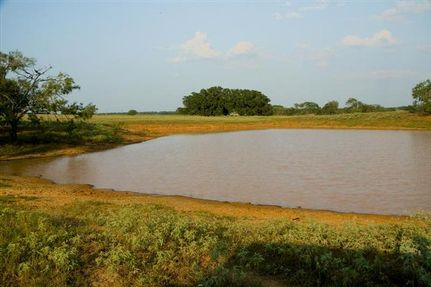 Farm Property in Wilson County, Texas