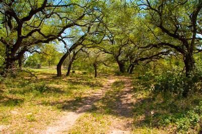 Waterfront Property in Wilson County, Texas