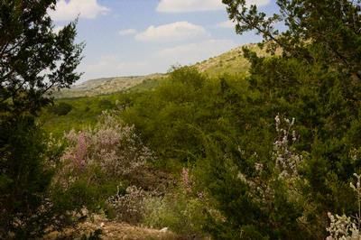 Farm Property in Uvalde County, Texas