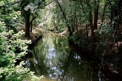 Farm Property in Gonzales County, Texas