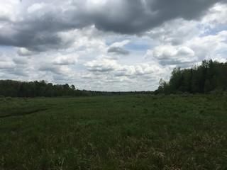 Recreational Property in Lewis County, New York