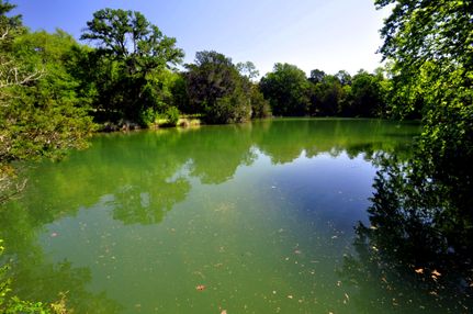 Farm Property in Travis County, Texas