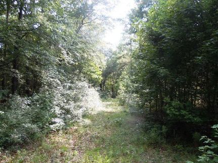 Recreational Property in Bulloch County, Georgia