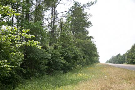 Timberland Property in San Jacinto County, Texas