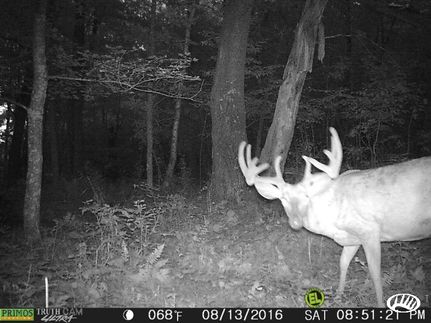 Farm Property in Polk County, Wisconsin