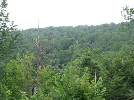 Ranch Property in Le Flore County, Oklahoma