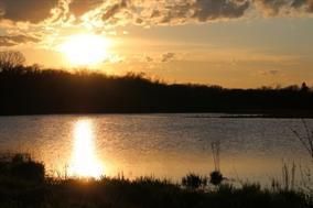Hunting Land in Dane County, Wisconsin