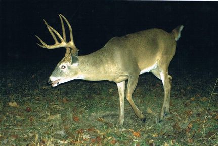 Property in Pulaski County, Kentucky