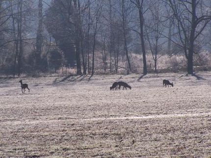 Farm Property in Lincoln County, Kentucky
