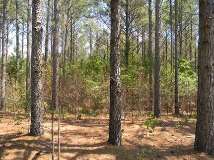 Property in Chilton County, Alabama