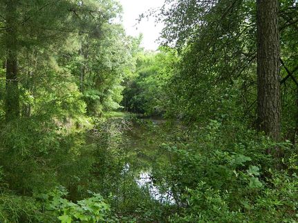 Property in Shelby County, Texas