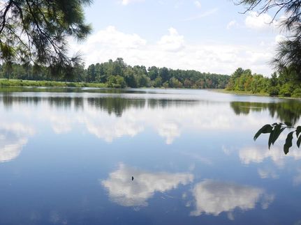 Residential Property in Screven County, Georgia