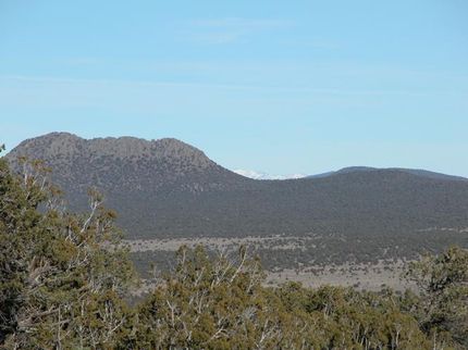 Farm Property in Cibola County, New Mexico