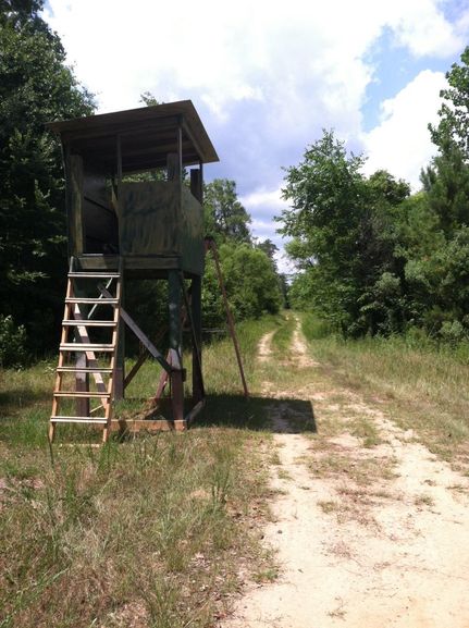 Farm Property in Colleton County, South Carolina
