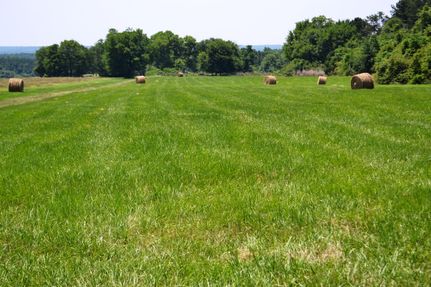 Farm Property in Macon County, Alabama