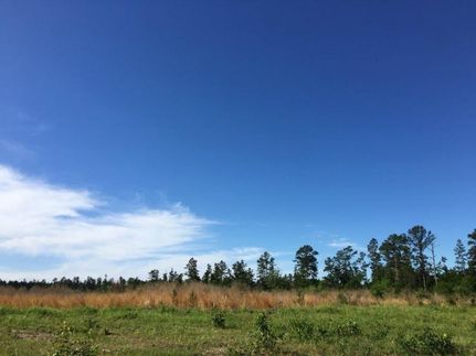 Undeveloped Land in Walker County, Texas
