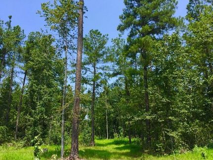 Ranch Property in Bamberg County, South Carolina