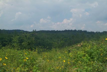 Property in Greenup County, Kentucky