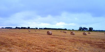 Property in Lee County, Texas