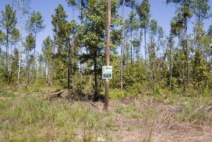 Farm Property in Jefferson County, Georgia
