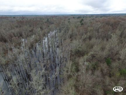 Farm Property in Escambia County, Alabama