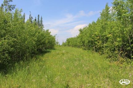 Farm Property in Saint Louis County, Minnesota