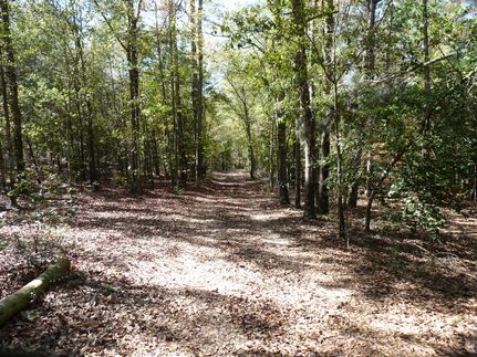 Ranch Property in Kershaw County, South Carolina