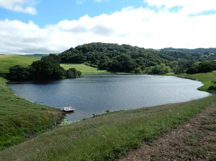 Farm Property in San Benito County, California