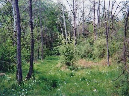 Farm Property in Monroe County, Tennessee