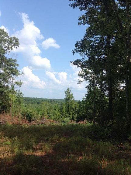 Farm Property in Lee County, Alabama