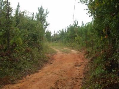 Farm Property in Coosa County, Alabama