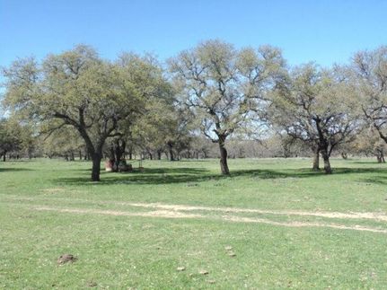 Property in Comanche County, Texas