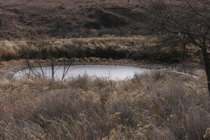 Farm Property in Donley County, Texas