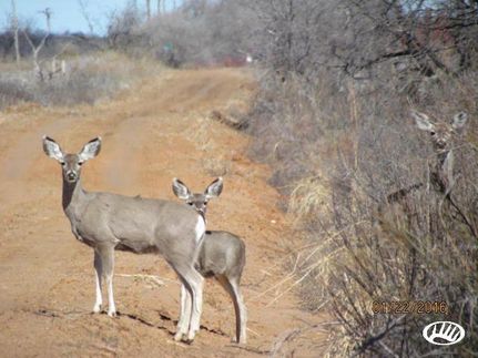 Property in Hall County, Texas