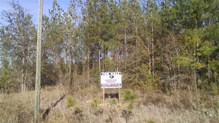 Property in McIntosh County, Georgia